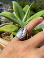 Anillo con Merlinita en Plata